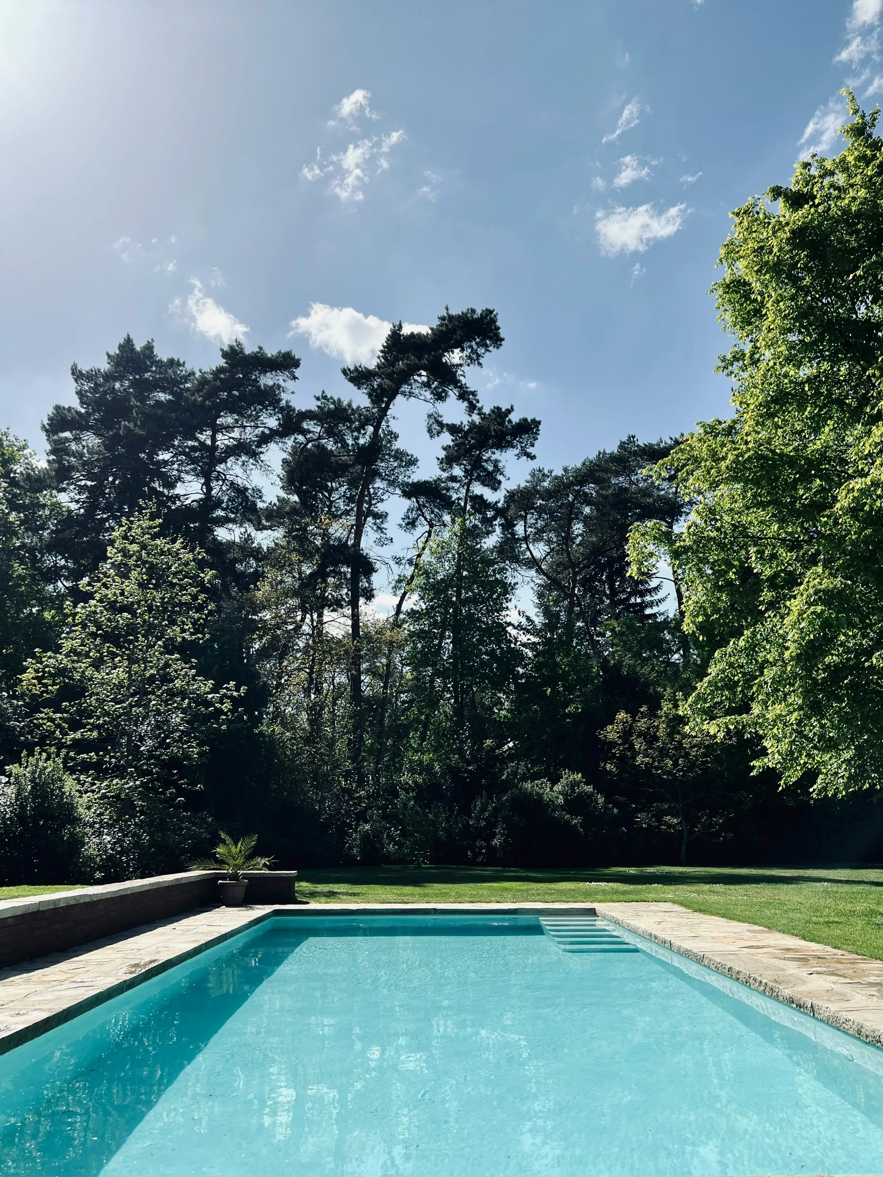 Long rectangular inground pool surrounded by backyard landscaping